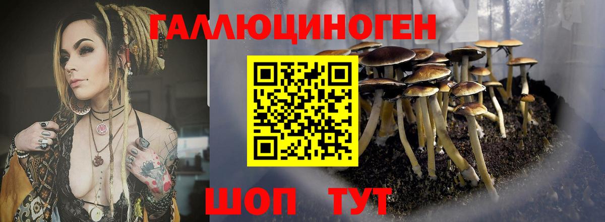 Псилоцибиновые грибы MAGIC MUSHROOMS Новоалександровск