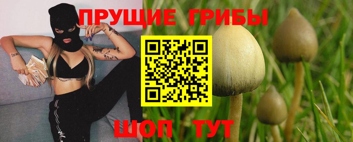 Галлюциногенные грибы Psilocybe  как найти закладки  Новоалександровск  Вход с VPN 